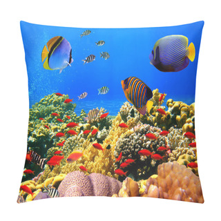 Personality  Photo Of A Coral Colony On A Reef, Egypt Pillow Covers