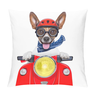 Personality  Crazy Silly Motorbike Dog Pillow Covers