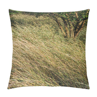 Personality  Yellow Plants And Tree In Autumnal Field During Windy Weather Pillow Covers