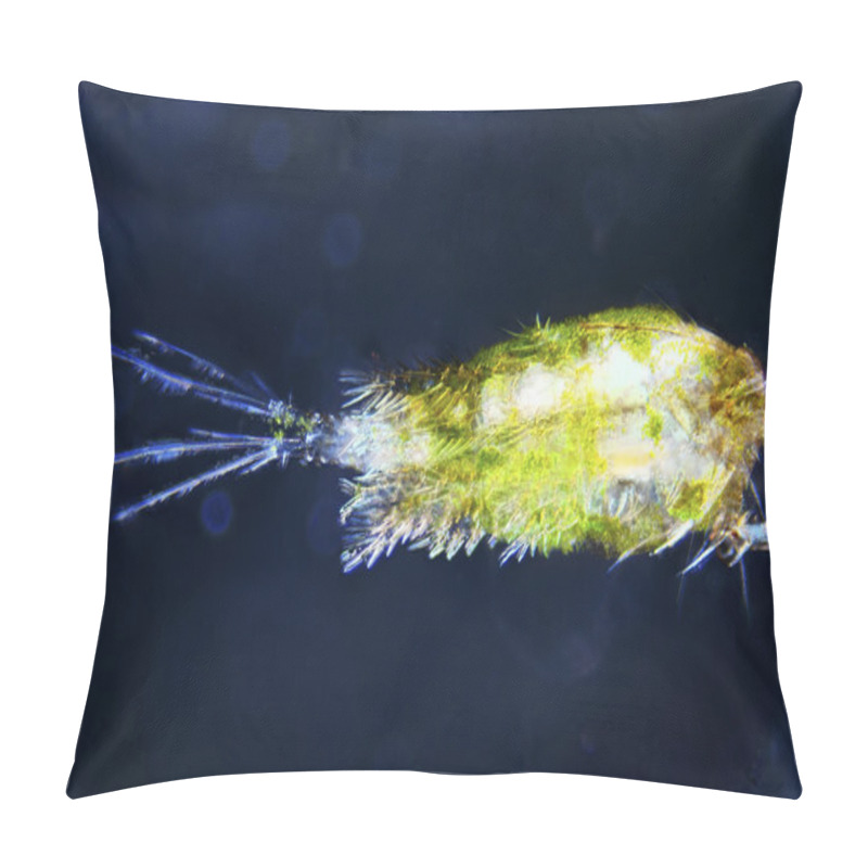 Personality  Plankton Pillow Covers