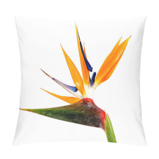 Personality  Bird Of Paradise Flowers Pillow Covers