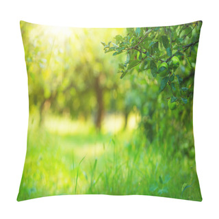 Personality  Apple Garden Green Sunny Background. Pillow Covers