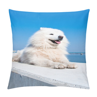 Personality  Samoyed, American Eskimo Dog Pillow Covers