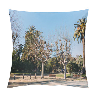 Personality  BARCELONA, SPAIN - DECEMBER 28, 2018: Park Landscape With Plane-trees, Palms And Walking Paths Pillow Covers