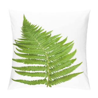 Personality  Sprig Fern Pillow Covers