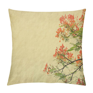Personality  Peacock Flowers On Poinciana Tree With Old Antique Vintage Paper Background Pillow Covers