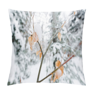 Personality  Selective Focus Of Tree Branches With Snow On Dry Leaves Pillow Covers