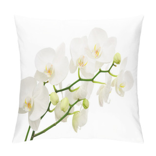 Personality  Long Branches Of Bouquet Delicate White Orchid Flowers Pillow Covers
