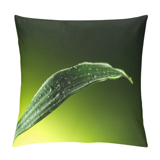Personality  Leaf With Water Drops Pillow Covers