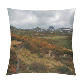 Personality  View Of Field With Orange And Green Plants And Rocky Hills On Background,Norway, Hardangervidda National Park Pillow Covers