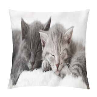 Personality  Couple Happy Kittens Sleep Relax Together. Kitten Family In Love. Adorable Kitty Noses For Valentine S Day. Long Web Banner Close Up. Cozy Home Animal Sleeping Comfortably Pillow Covers