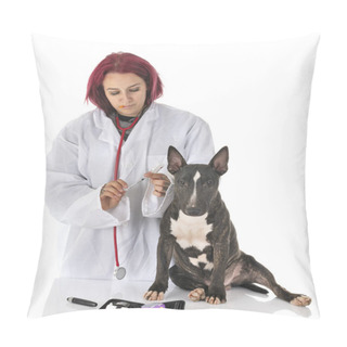 Personality  Miniature Bull Terrier In Front Of White Background Pillow Covers