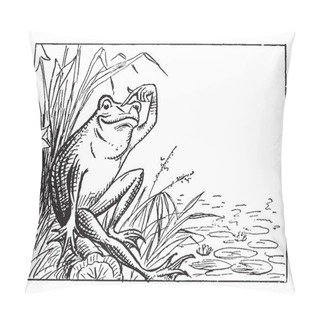 Personality  Frog Sitting On Bank And Scratching Head, This Scene Shows A Frog Sitting On The Bank Of A Pond And Scratching His Head, Vintage Line Drawing Or Engraving Illustration Pillow Covers