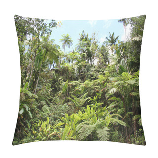 Personality  Tropical Jungles Pillow Covers