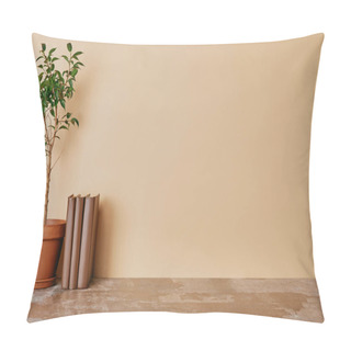 Personality  Plant And Books On Dusty Table On Beige Background Pillow Covers
