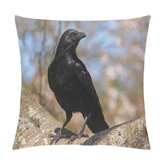 Personality  Portrait Of A Crow Pillow Covers