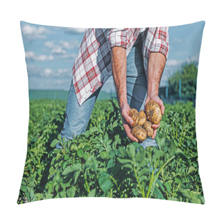 Personality  Partial View Of Man With Potatoes In Hands In Field  Pillow Covers