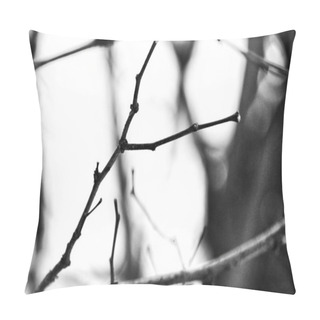 Personality  The Intricate And Delicate Structure Of Bare Branches, Presented In A Dramatic Black And White Tone That Highlights Their Form And Texture Pillow Covers