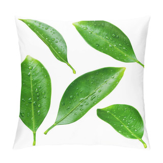 Personality  Citrus Leaves With Drops Isolated On A White Background Pillow Covers