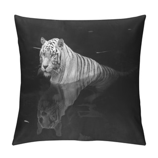 Personality  White Tiger Pillow Covers