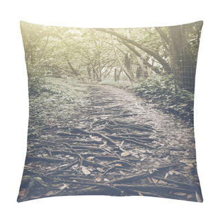 Personality  Retro Hiking Trail Pillow Covers