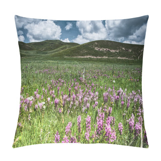 Personality  Full Of Grassland Flowers Pillow Covers