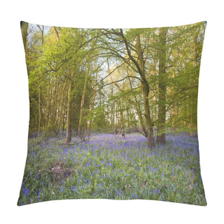 Personality  Bright Fresh Colorful Spring Bluebell Wood Pillow Covers