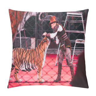 Personality  KYIV, UKRAINE - NOVEMBER 1, 2019: Side View Of Handler Performing With Tiger In Circus Pillow Covers