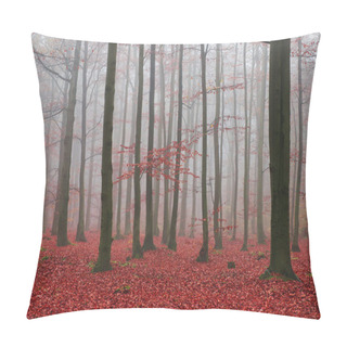 Personality  Foggy Day In The Forest Pillow Covers