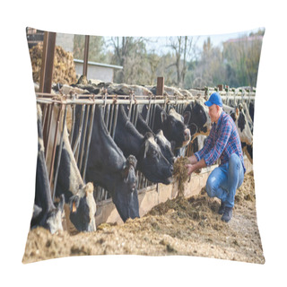 Personality  Portrait Of Farmer Feeding Cows In Farm. Pillow Covers