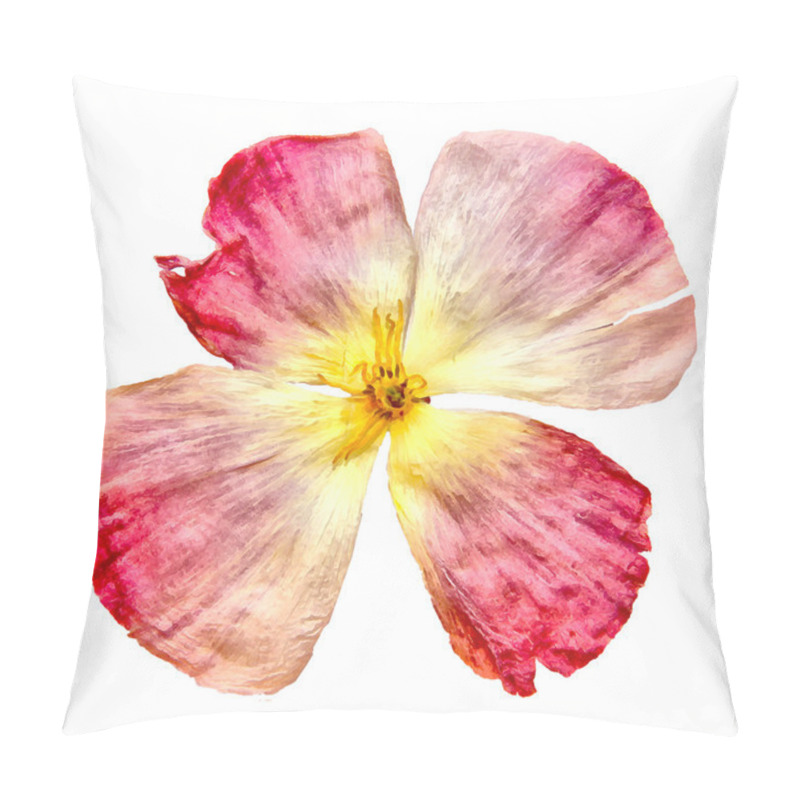 Personality  drawing of dried fall leaves of plants, rose flowers  isolated e pillow covers