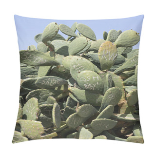 Personality  Graffitied Cactus Plant In Cyprus Pillow Covers