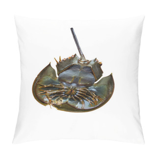 Personality  Horseshoe Crab Pillow Covers