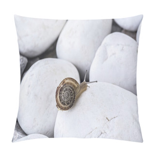 Personality  Snail On The White Stones Pillow Covers