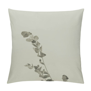 Personality  Dry Eucalyptus Leaf Stem Botanic Floral Foliage Art Background. Pillow Covers