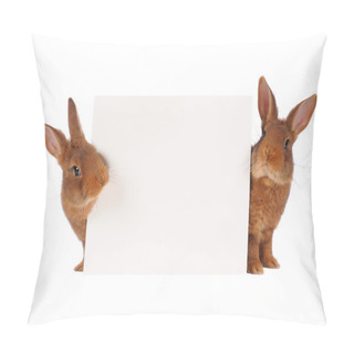 Personality  Two Rabbit Pillow Covers