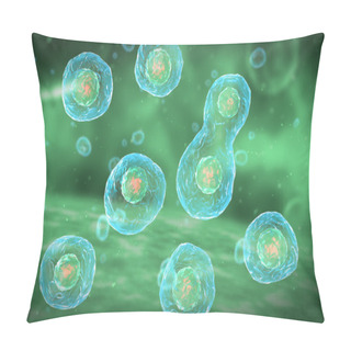 Personality  Cell Division Stages Of Mitosis Pillow Covers