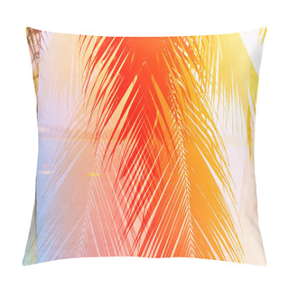 Personality  Retro Photo Of Palm Trees Pillow Covers