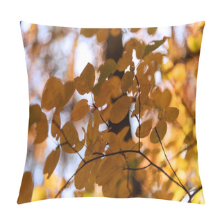 Personality  Close Up View Of Autumnal Golden Foliage Pillow Covers