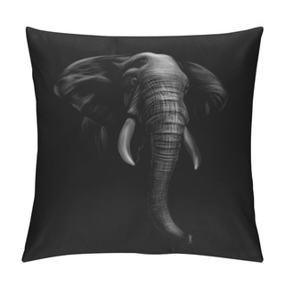 Personality  Portrait Of An Elephant Head On A Black Background Pillow Covers