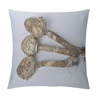 Personality  Parasol Mushroom On A White Background Pillow Covers