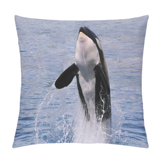 Personality  Killer Whale Jumping Out Of Water Pillow Covers