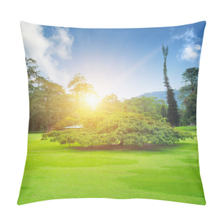 Personality  Summer Park With Beautiful Green Lawns Pillow Covers