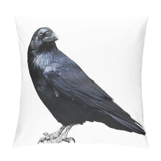 Personality  Black Raven. Pillow Covers