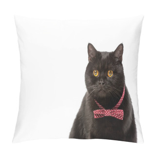 Personality  Portrait Of Cute Black British Shorthair Cat In Bow Tie Isolated On White Background  Pillow Covers