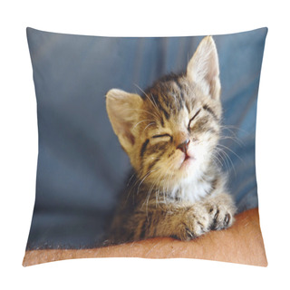 Personality  Baby Cat Portrait Pillow Covers