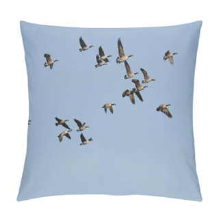 Personality  Flock Of Canada Geese Flying In A Blue Sky Pillow Covers
