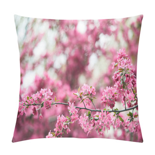 Personality Close-up Shot Of Beautiful Pink Cherry Flowers On Tree Outdoors Pillow Covers