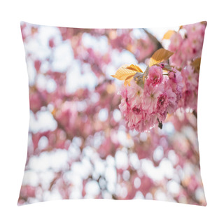 Personality  Blooming Flowers On Pink Cherry Tree With Blurred Background Pillow Covers
