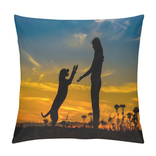 Personality  A Silhouette Of A Young Woman And Her Mutt Dog. Pillow Covers